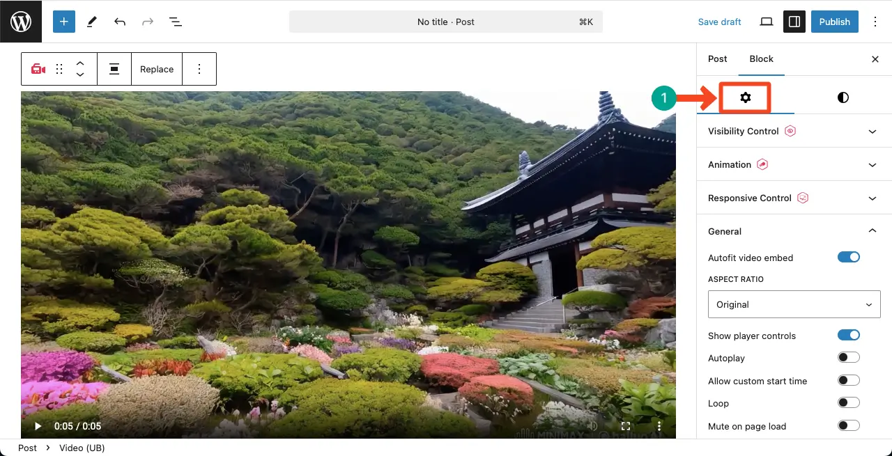 General settings of the Video block